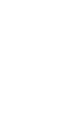 website development services